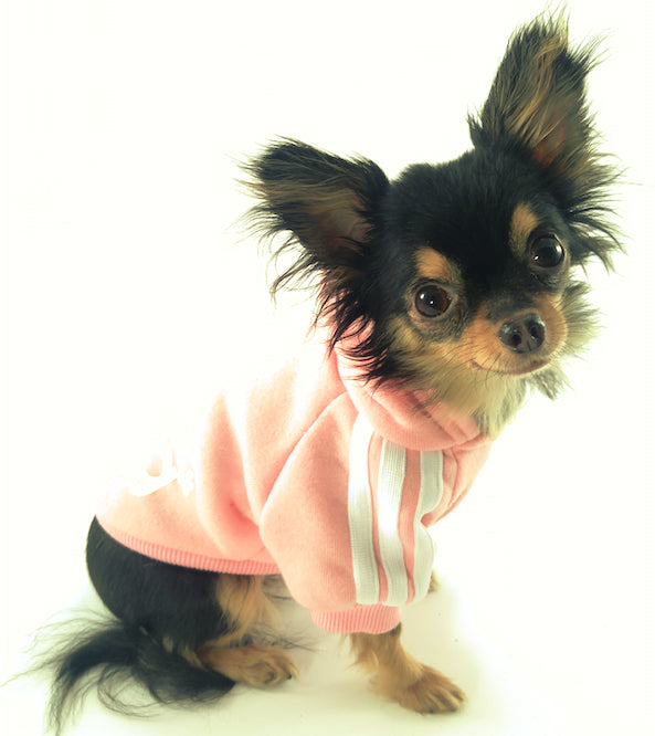Meet Model Rosie